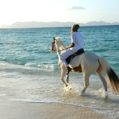 Zambezi Richardson Horseback Riding